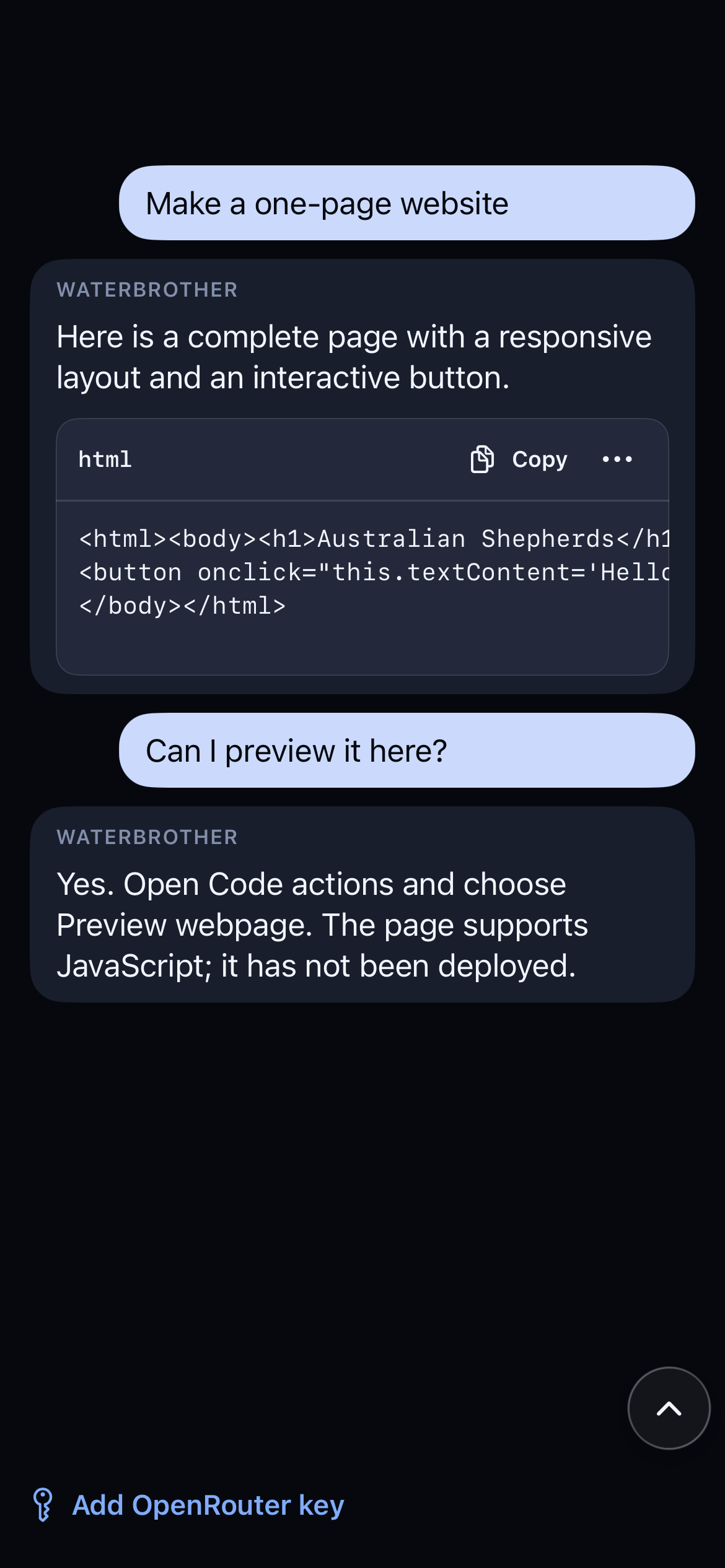 Development conversation showing website code and instructions to open Preview webpage from Code actions.